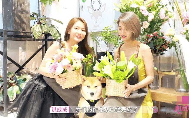 探秘冷知识平台有适合婚房安装的中央空调推荐吗?,揭开真相!